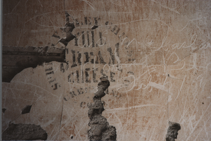 Spring Valley Cheese Factory - Cheese Wall